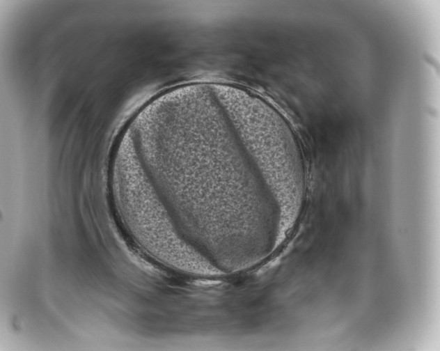 X0000095910055200802011159