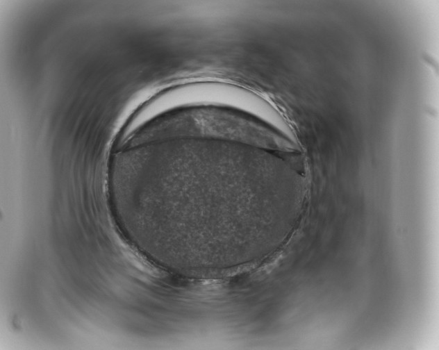 X0000095910056200802011159