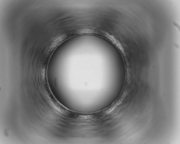 X0000095910057200802011159