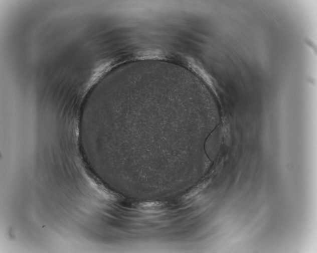 X0000095910059200802011159