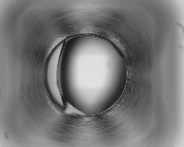 X0000095910060200802011159