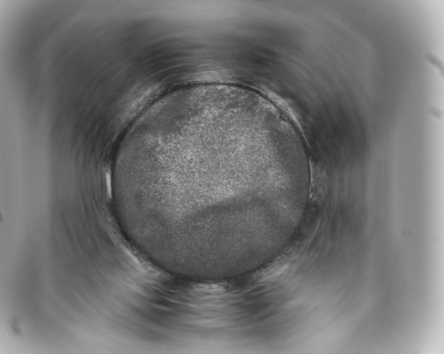 X0000095910061200802011159