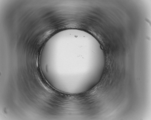 X0000095910062200802011159