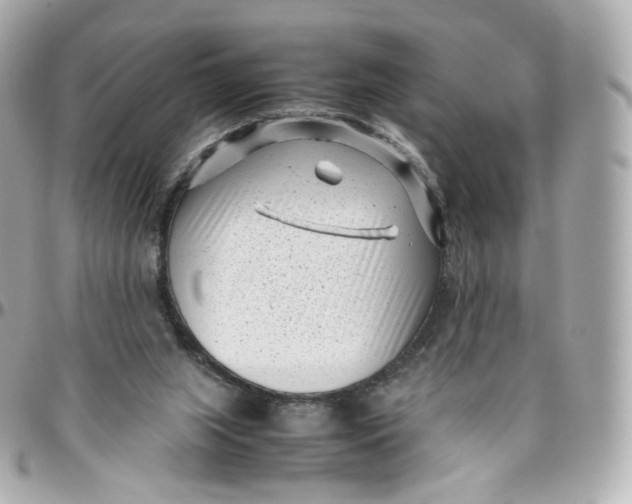 X0000095910063200802011159