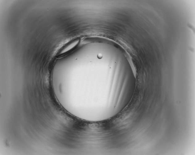 X0000095910064200802011159