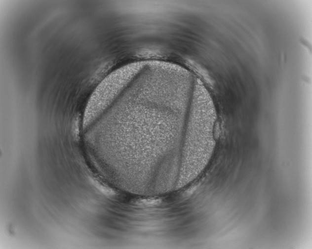 X0000095910065200802011159