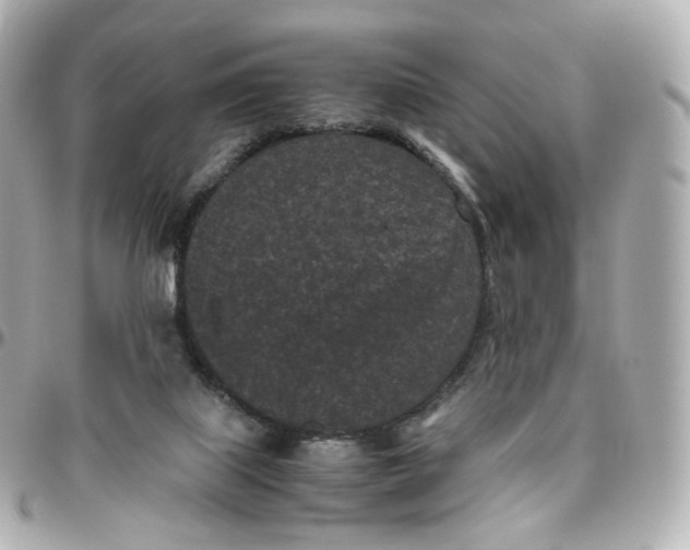 X0000095910067200802011200