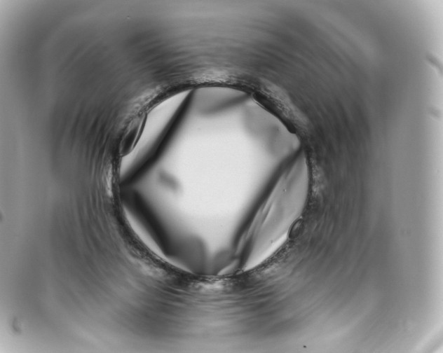 X0000095910068200802011200