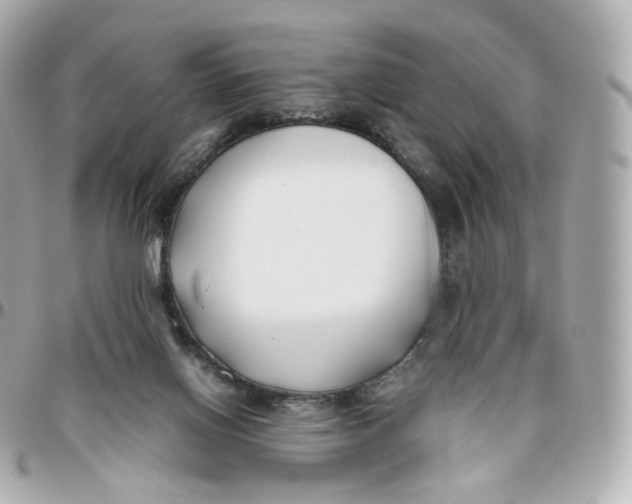 X0000095910070200802011200