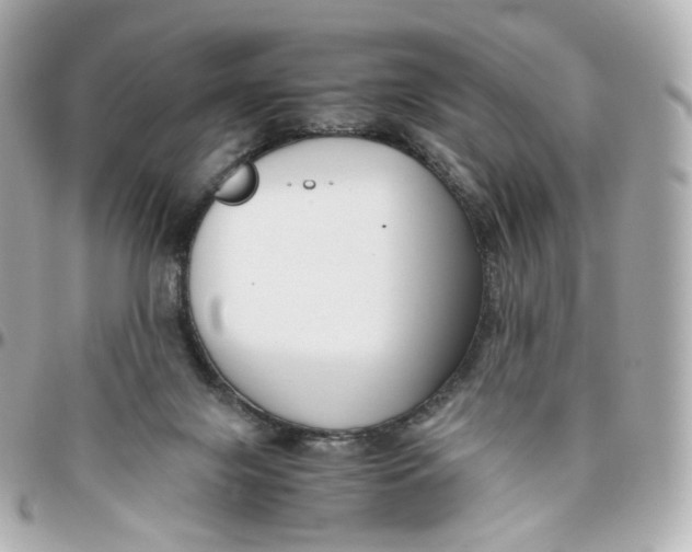 X0000095910071200802011200