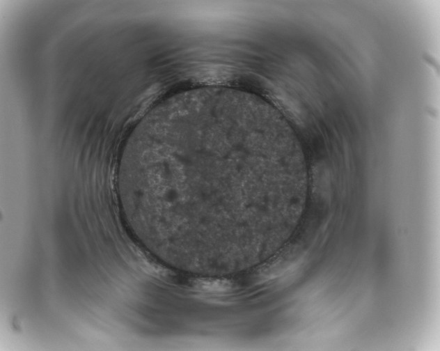 X0000095910073200802011200