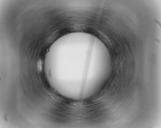 X0000095910075200802011200