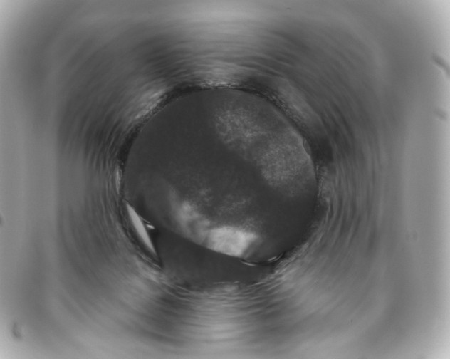 X0000095910076200802011200