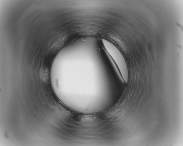 X0000095910077200802011200