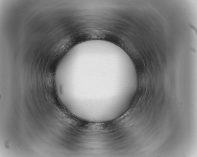 X0000095910078200802011200