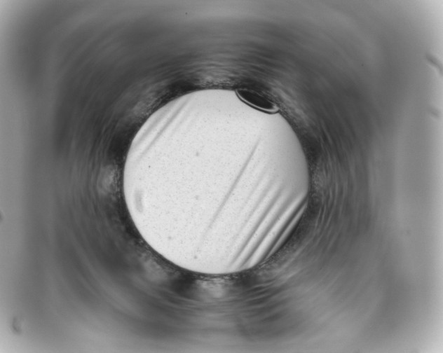 X0000095910079200802011200