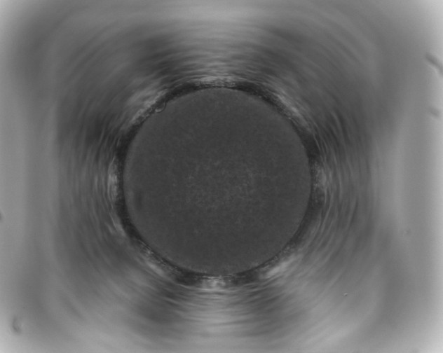 X0000095910080200802011200