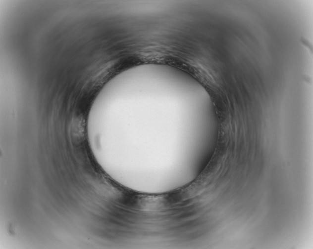 X0000095910081200802011200