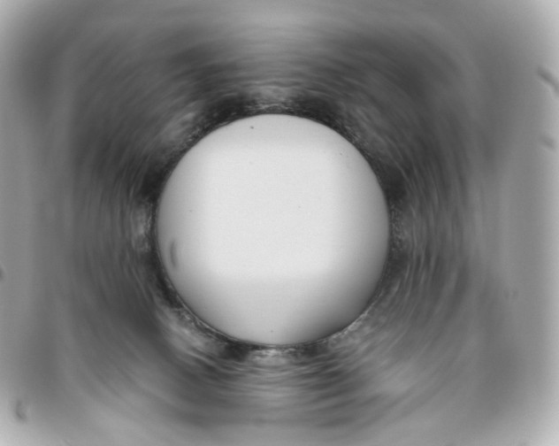 X0000095910082200802011200