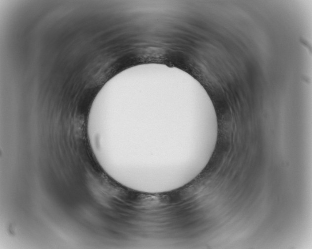 X0000095910083200802011200