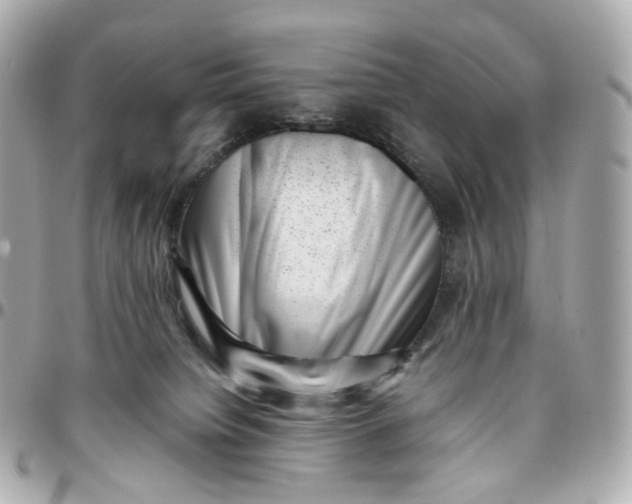 X0000095910084200802011200