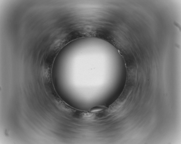 X0000095910088200802011200