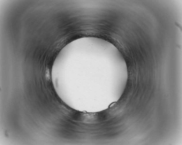 X0000095910089200802011200