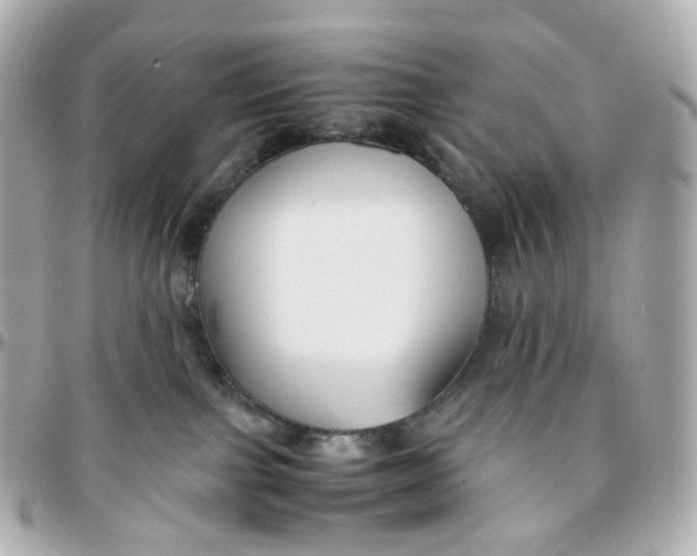 X0000095910091200802011200