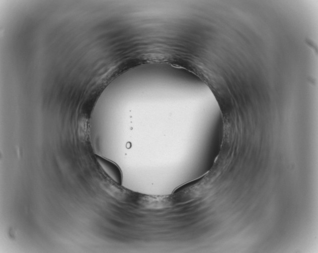 X0000095910093200802011200