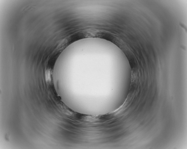 X0000095910094200802011200