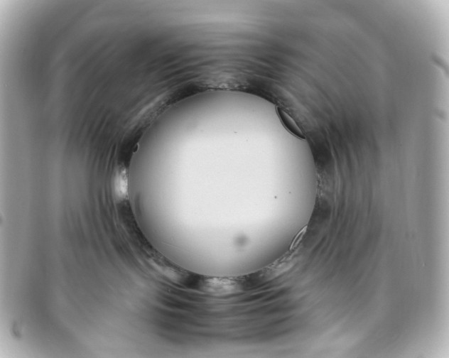 X0000095910095200802011200