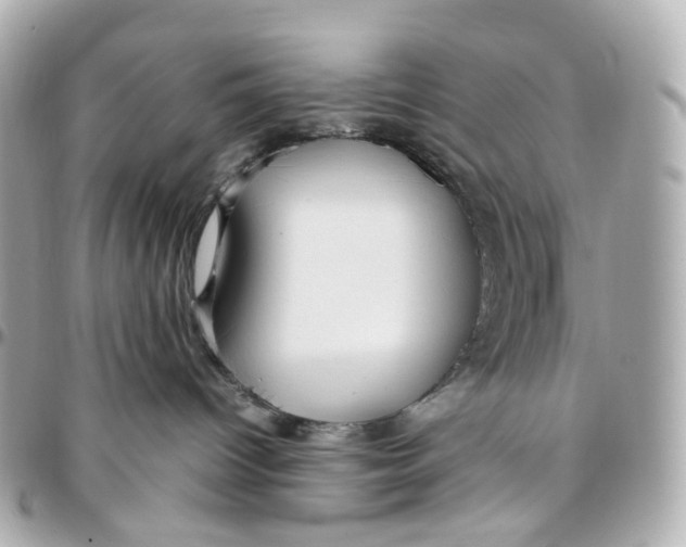 X0000095910096200802011200