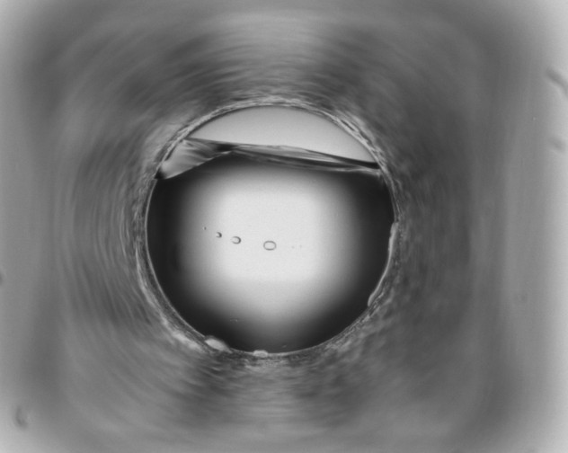 X0000095910097200802011159