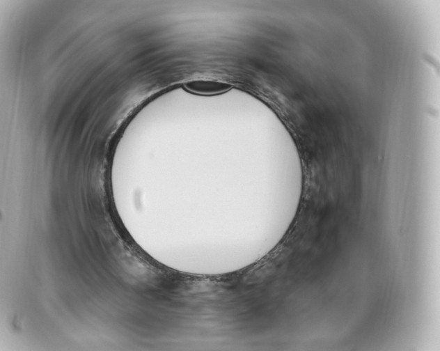 X0000095910098200802011159