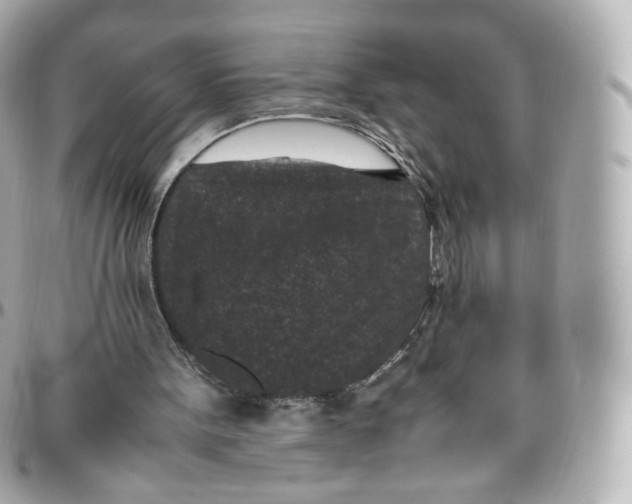 X0000095910099200802011159