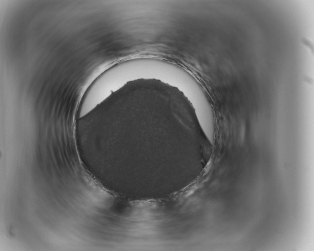 X0000095910100200802011159