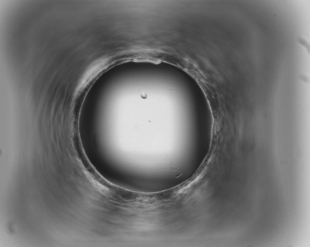 X0000095910101200802011159