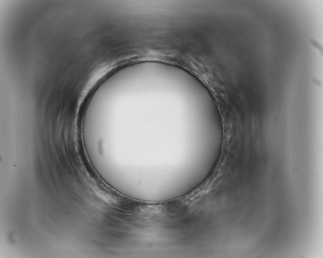 X0000095910102200802011159