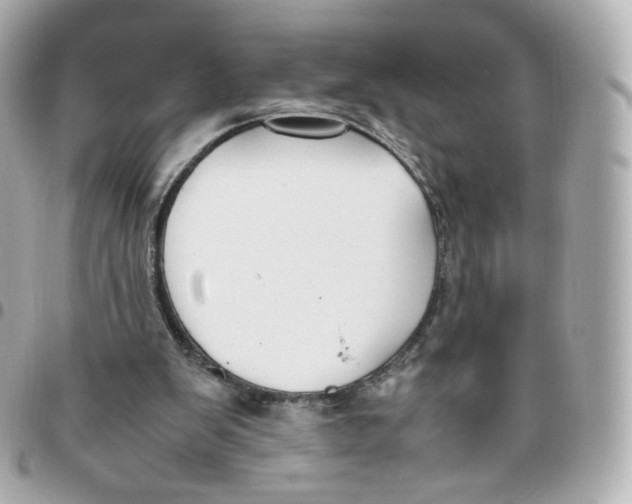 X0000095910103200802011159