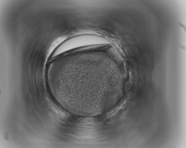 X0000095910104200802011159