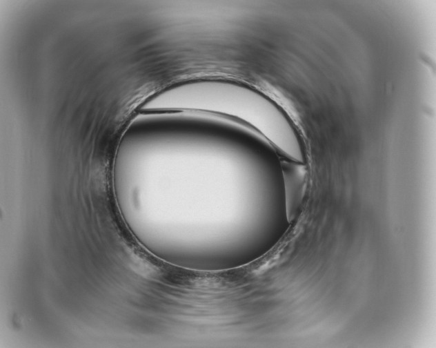 X0000095910105200802011159