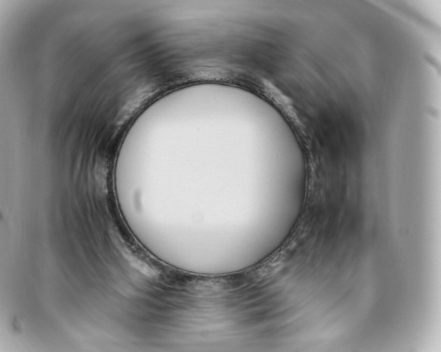 X0000095910106200802011159