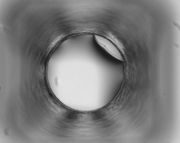 X0000095910107200802011159