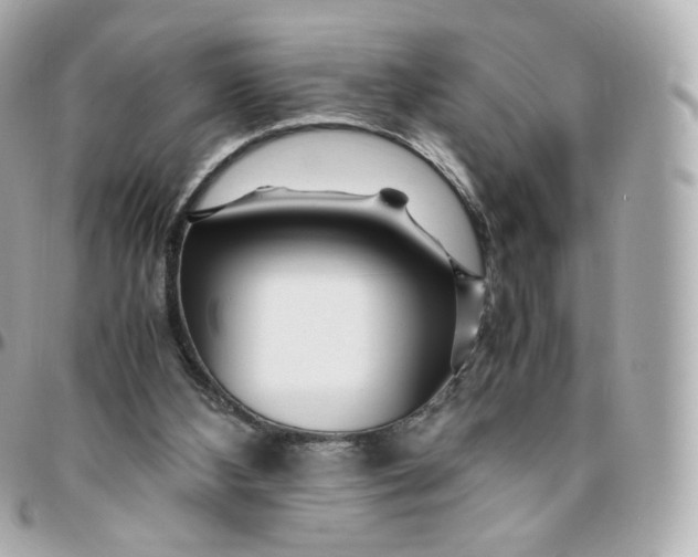 X0000095910108200802011159