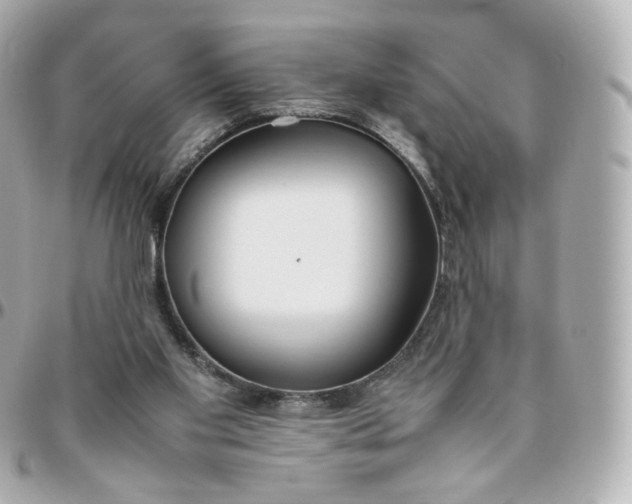 X0000095910109200802011159