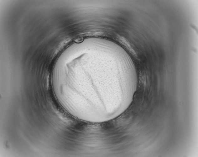 X0000095910110200802011159