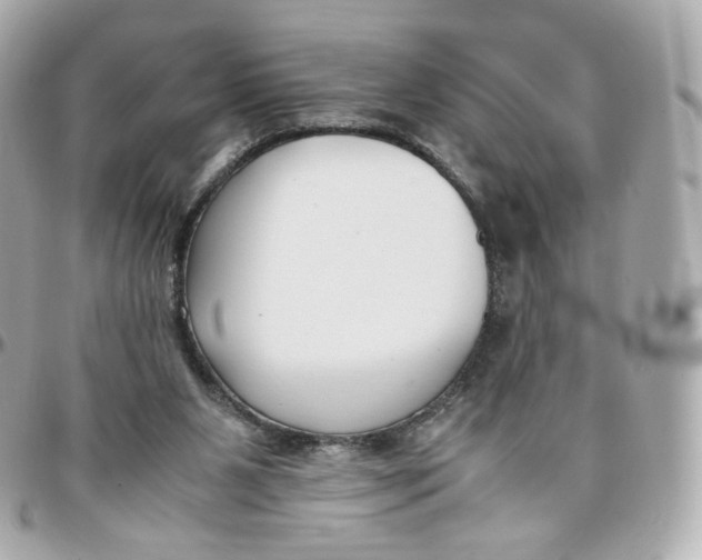 X0000095910111200802011159