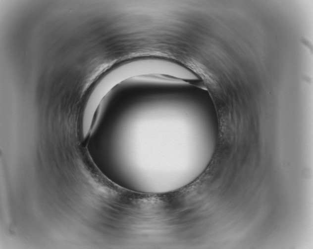 X0000095910112200802011159