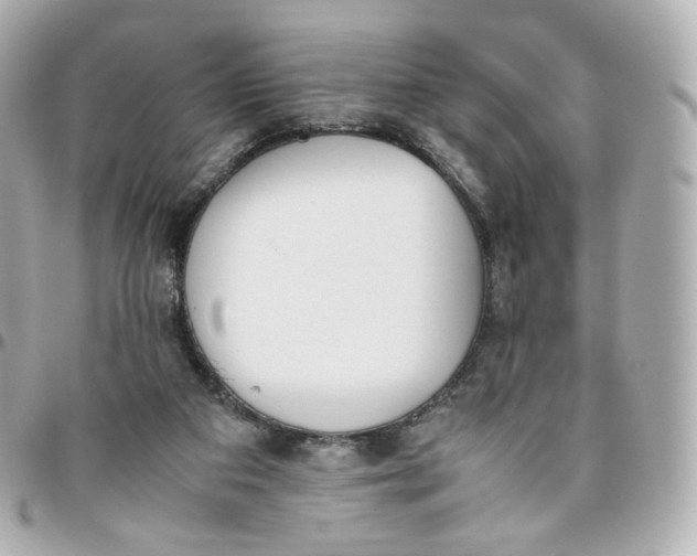 X0000095910113200802011159