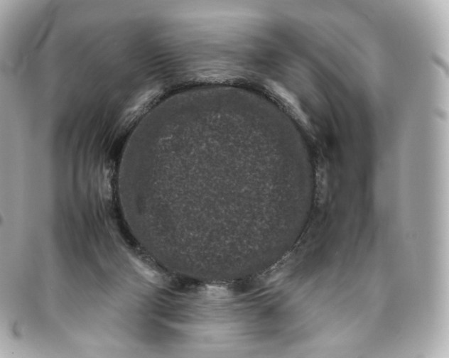 X0000095910114200802011159